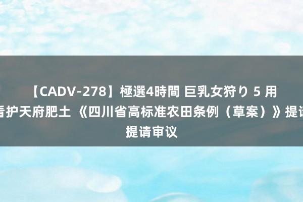 【CADV-278】極選4時間 巨乳女狩り 5 用法治看护天府肥土 《四川省高标准农田条例（草案）》提请审议