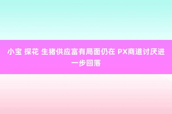 小宝 探花 生猪供应富有局面仍在 PX商道讨厌进一步回落