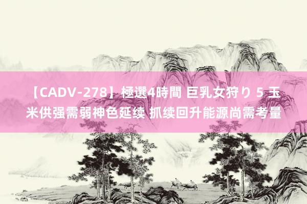 【CADV-278】極選4時間 巨乳女狩り 5 玉米供强需弱神色延续 抓续回升能源尚需考量