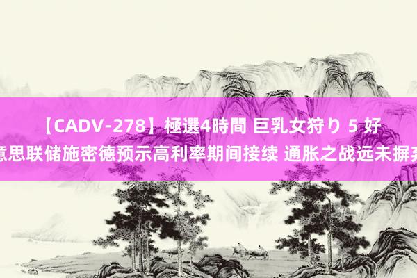 【CADV-278】極選4時間 巨乳女狩り 5 好意思联储施密德预示高利率期间接续 通胀之战远未摒弃